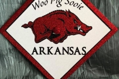 University of Arkansas