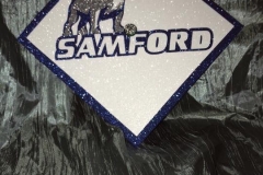 Samford University