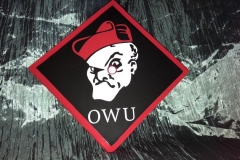 Ohio Wesleyan University