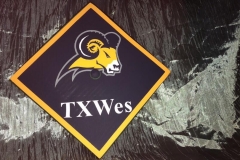 Texas Weslayen University